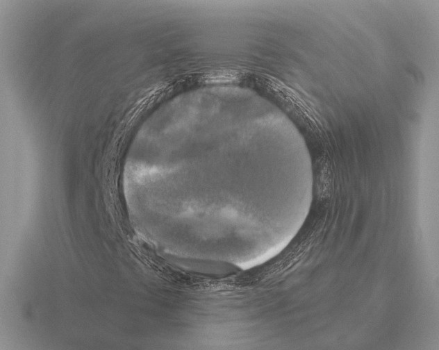 X0000115431441200912161424