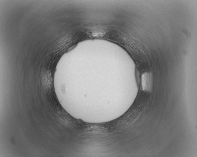 X0000115431443200912161424