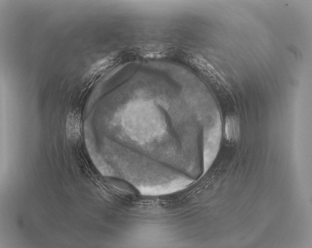 X0000115431444200912161424