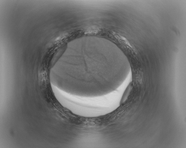 X0000115431445200912161424