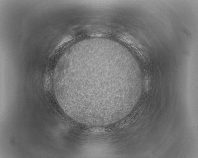 X0000115431446200912161424