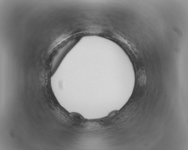 X0000115431448200912161424