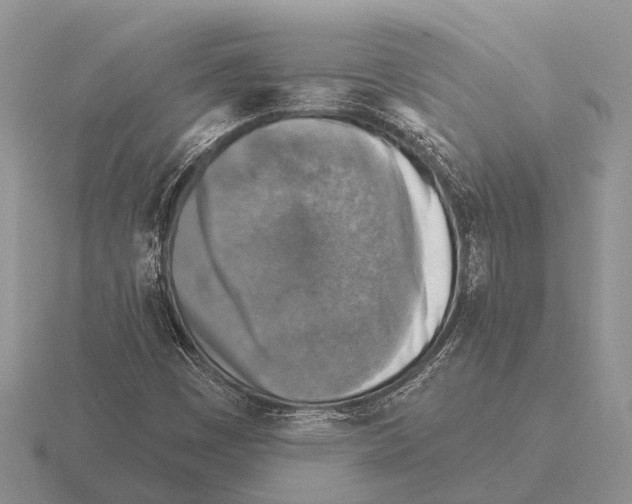 X0000115431449200912161424