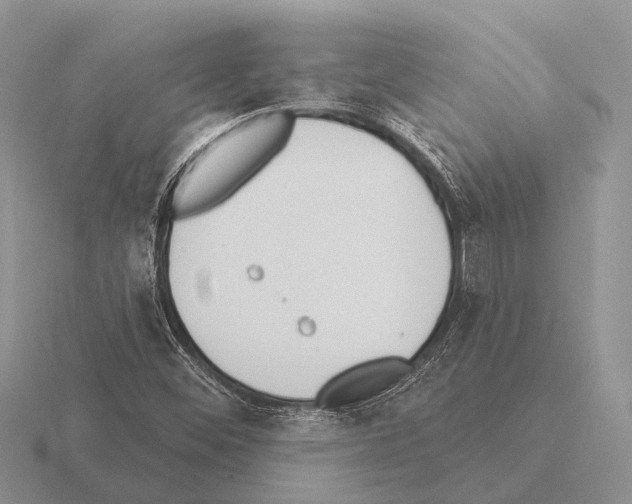 X0000115431452200912161424