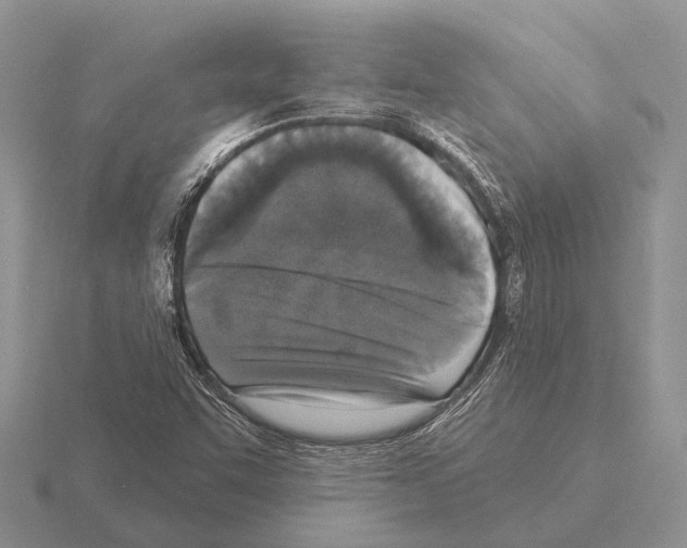 X0000115431455200912161424