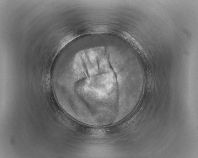 X0000115431457200912161424