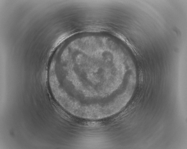 X0000115431459200912161424