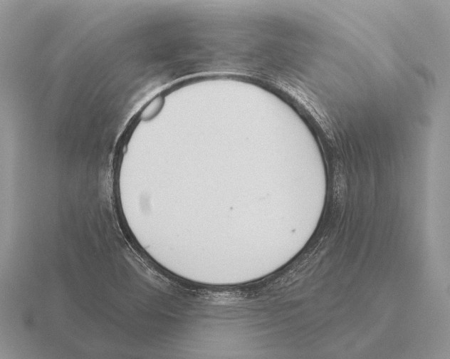 X0000115431460200912161424