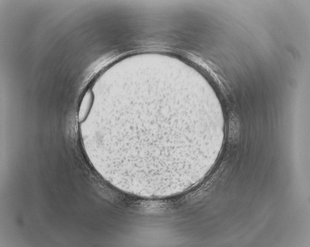 X0000115431461200912161424