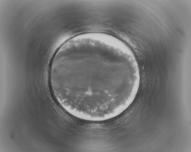 X0000115431463200912161424