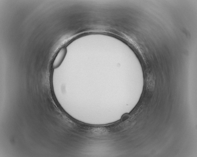 X0000115431464200912161424