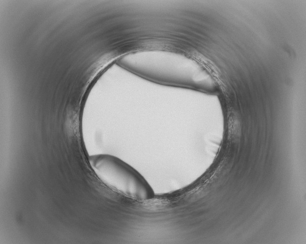 X0000115431465200912161424