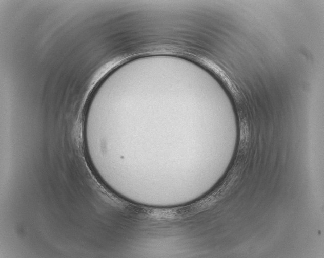 X0000115431466200912161424