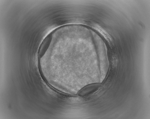 X0000115431468200912161424