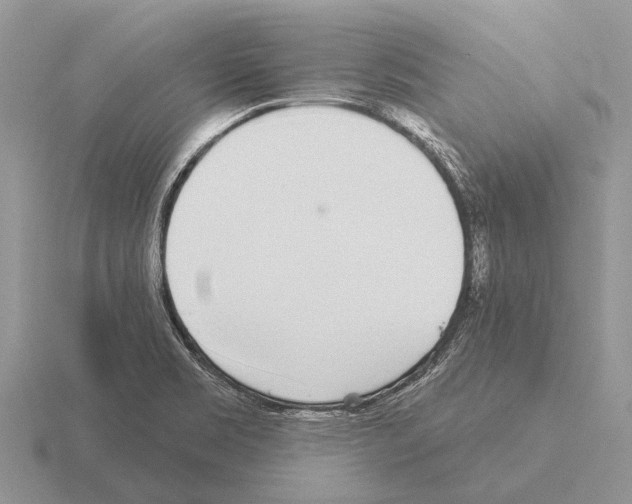 X0000115431469200912161424