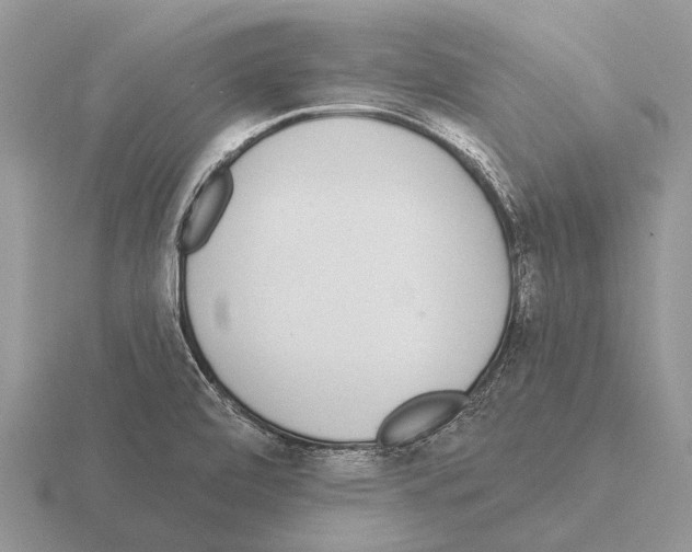 X0000115431472200912161424