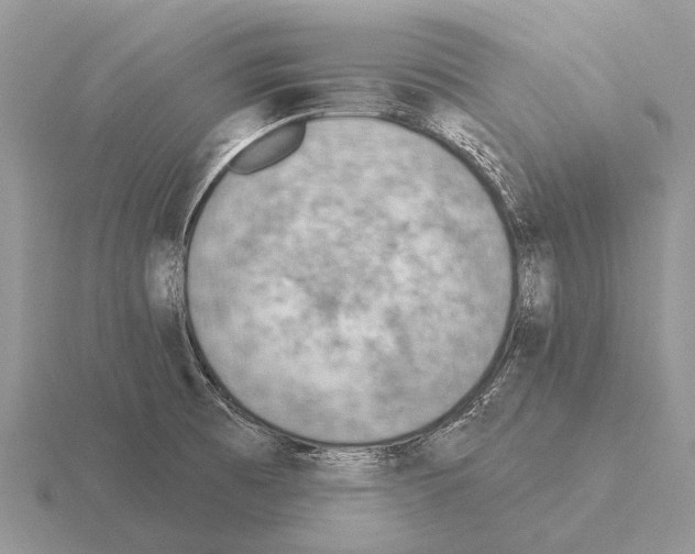 X0000115431473200912161424