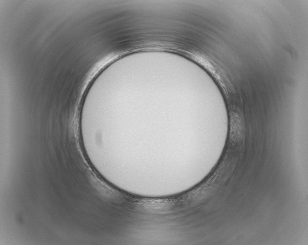 X0000115431474200912161424