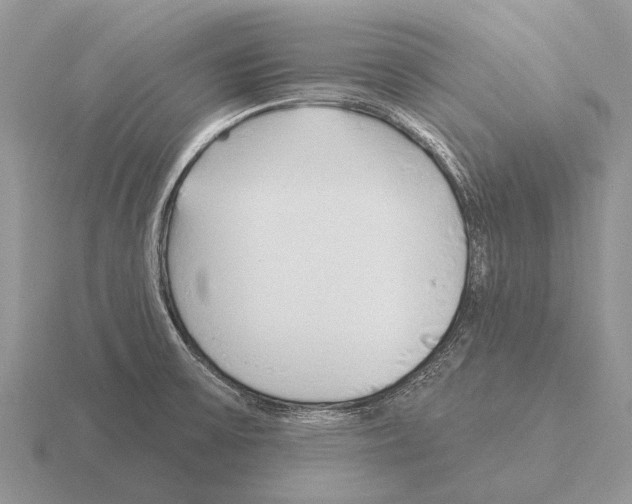 X0000115431475200912161424