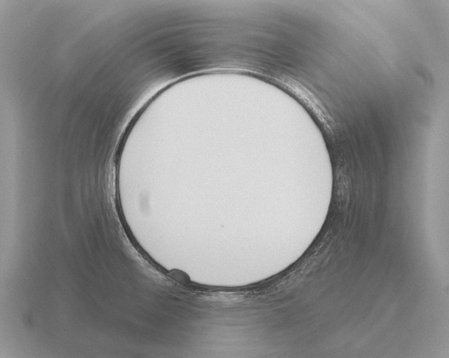 X0000115431476200912161424