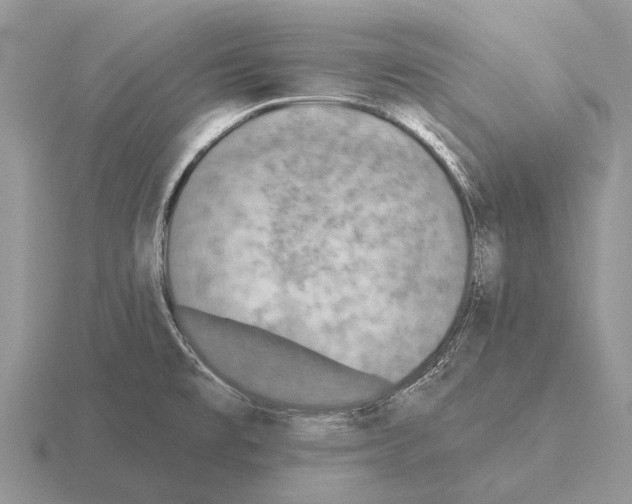 X0000115431477200912161424