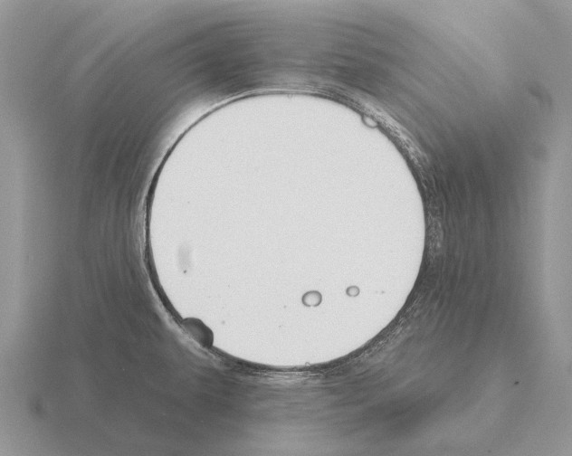 X0000115431479200912161424