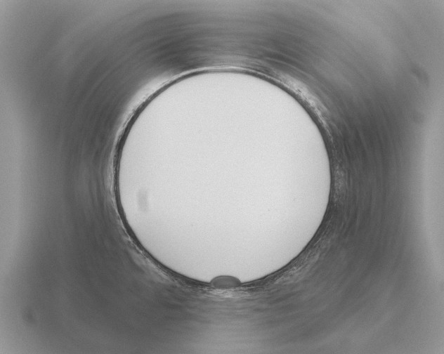 X0000115431480200912161424