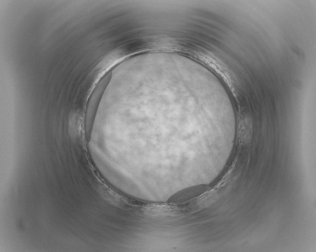 X0000115431481200912161424