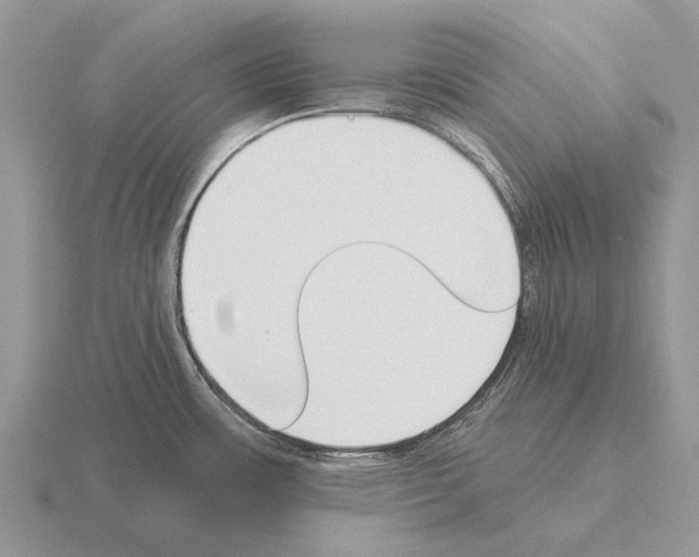 X0000115431483200912161424