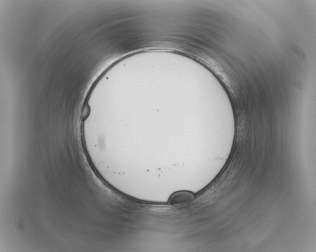 X0000115431484200912161424