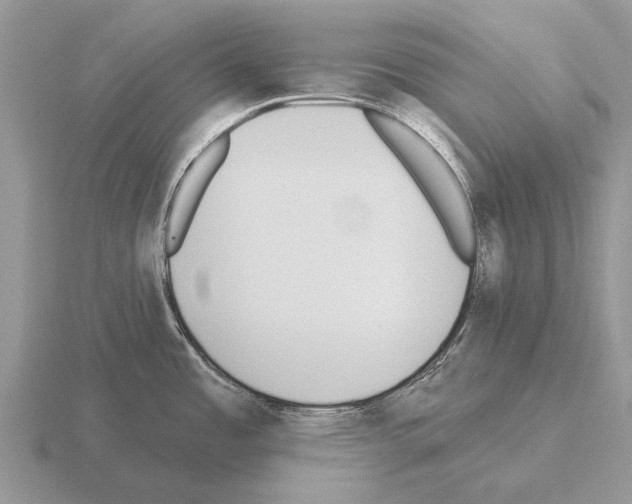 X0000115431485200912161424