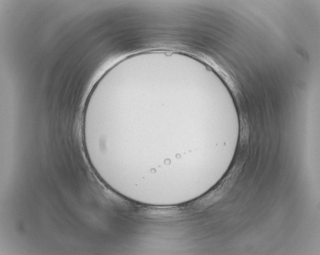 X0000115431486200912161424