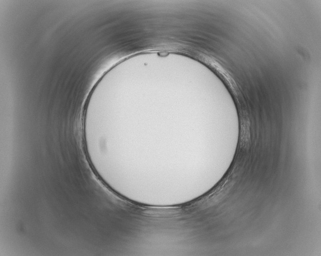 X0000115431487200912161424