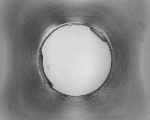 X0000115431488200912161424