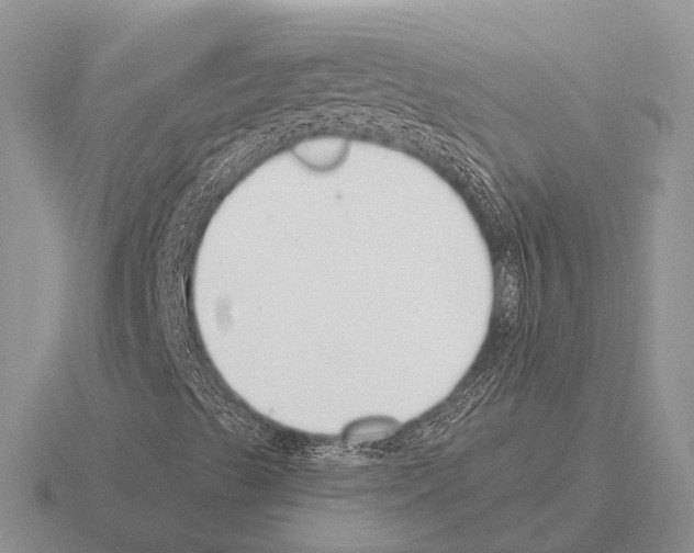 X0000115431489200912161423