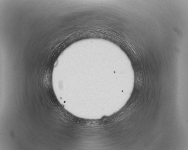 X0000115431490200912161423