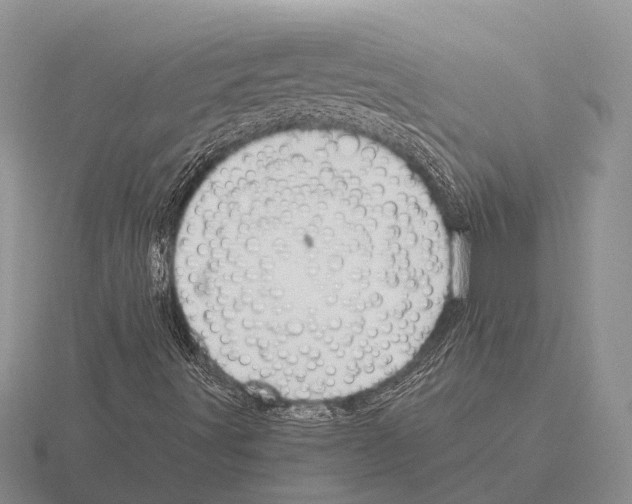 X0000115431491200912161423