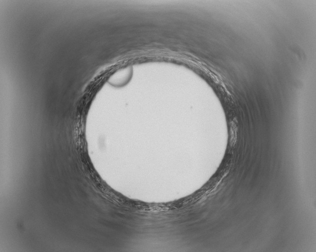 X0000115431494200912161423