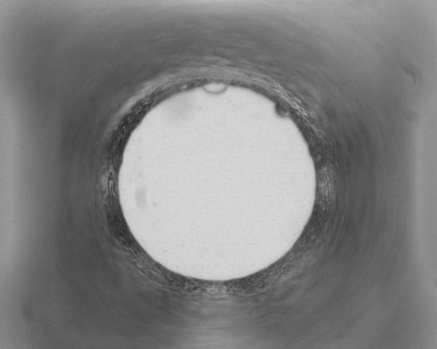 X0000115431495200912161423