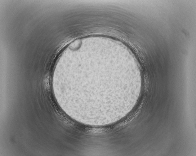 X0000115431497200912161423