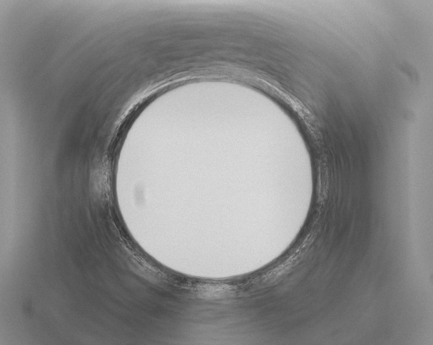 X0000115431498200912161423