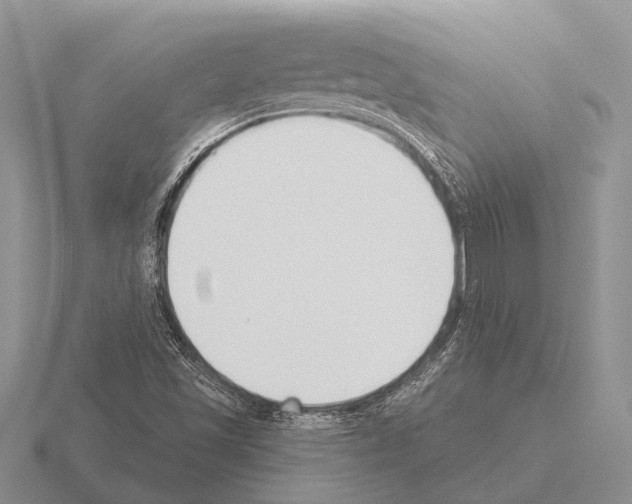 X0000115431501200912161423