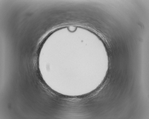 X0000115431502200912161423