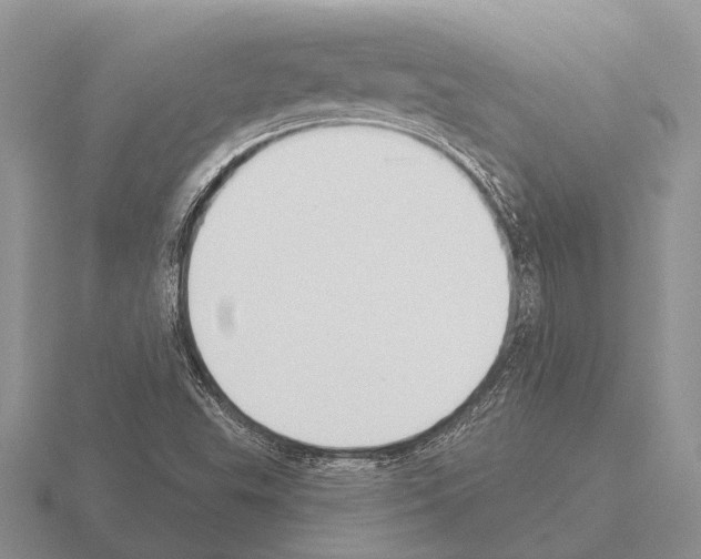 X0000115431503200912161423