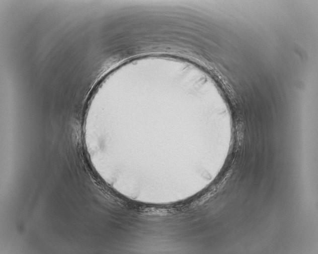 X0000115431505200912161423