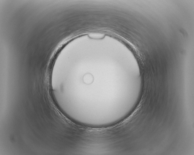 X0000115431506200912161423