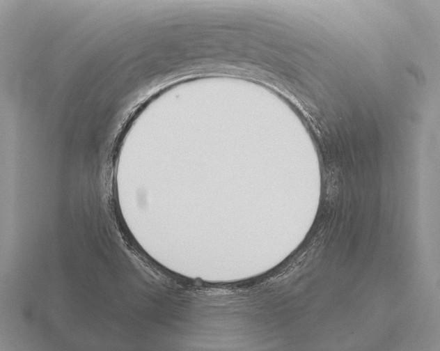 X0000115431507200912161423