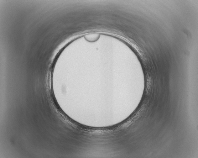 X0000115431510200912161423