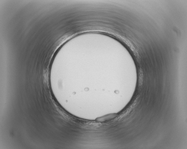 X0000115431513200912161423