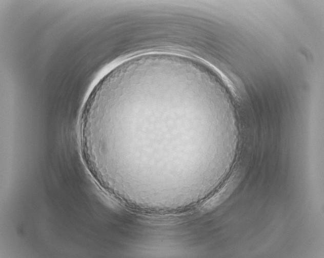 X0000115431514200912161424